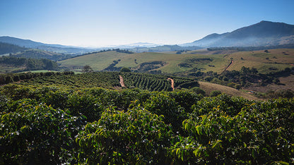 Brazil - Fazenda Santa Inês